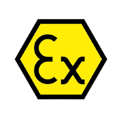 Ex Logo